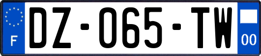 DZ-065-TW