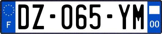 DZ-065-YM