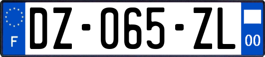 DZ-065-ZL