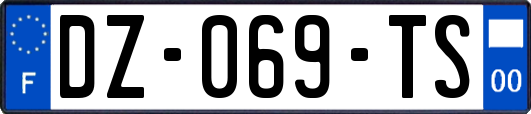 DZ-069-TS