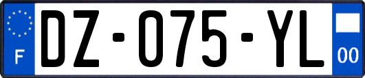 DZ-075-YL