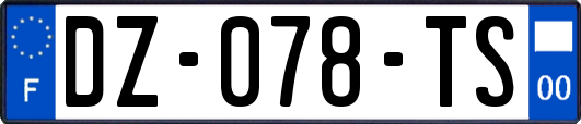 DZ-078-TS