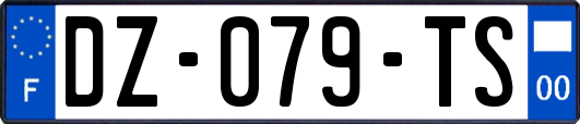 DZ-079-TS