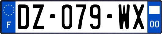 DZ-079-WX