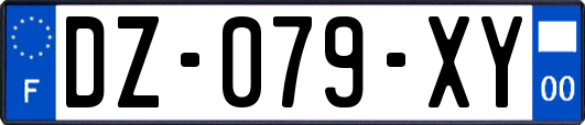 DZ-079-XY