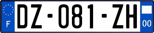 DZ-081-ZH