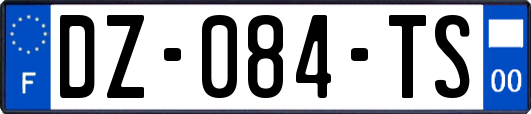 DZ-084-TS