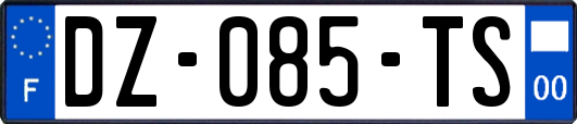 DZ-085-TS