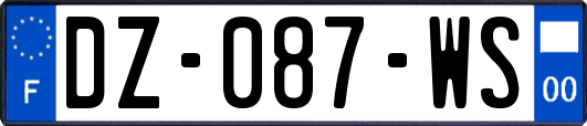 DZ-087-WS