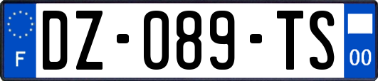 DZ-089-TS