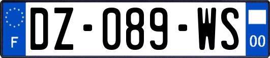 DZ-089-WS