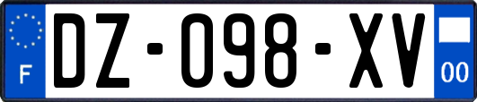 DZ-098-XV