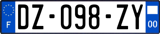 DZ-098-ZY