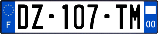 DZ-107-TM