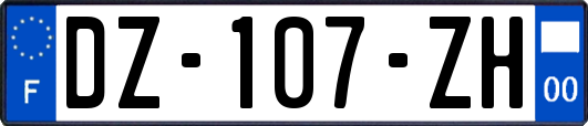 DZ-107-ZH