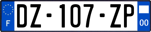 DZ-107-ZP