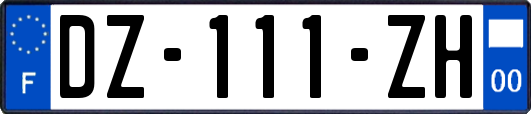 DZ-111-ZH