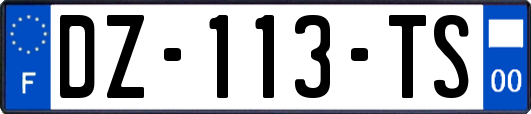 DZ-113-TS