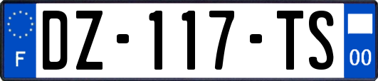 DZ-117-TS