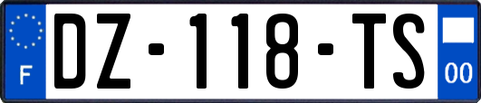 DZ-118-TS