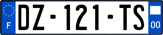 DZ-121-TS