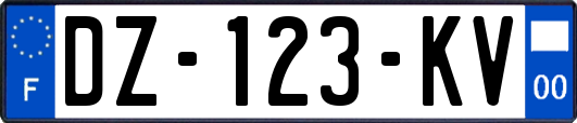 DZ-123-KV