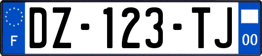 DZ-123-TJ