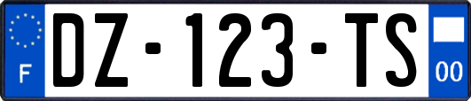 DZ-123-TS