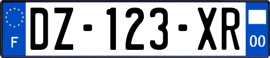 DZ-123-XR