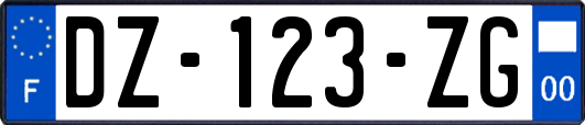 DZ-123-ZG