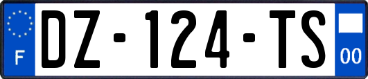 DZ-124-TS