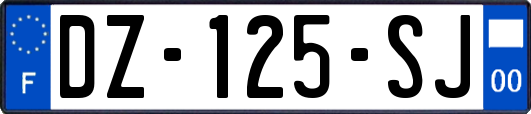 DZ-125-SJ