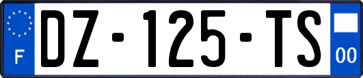 DZ-125-TS