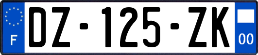 DZ-125-ZK