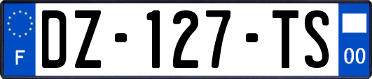 DZ-127-TS