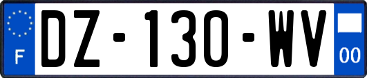 DZ-130-WV