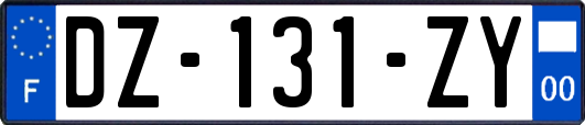 DZ-131-ZY