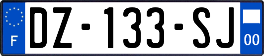 DZ-133-SJ