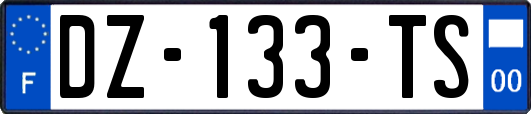 DZ-133-TS