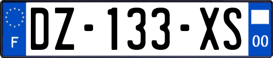 DZ-133-XS