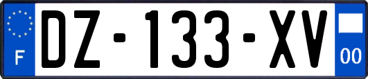 DZ-133-XV