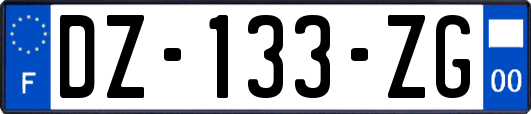 DZ-133-ZG