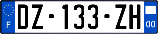 DZ-133-ZH