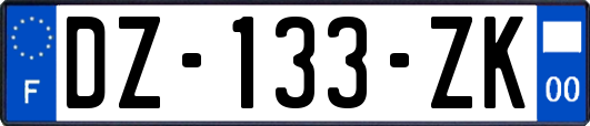 DZ-133-ZK