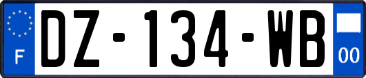 DZ-134-WB