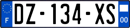 DZ-134-XS