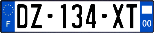 DZ-134-XT