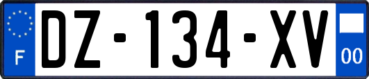 DZ-134-XV