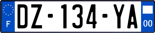 DZ-134-YA