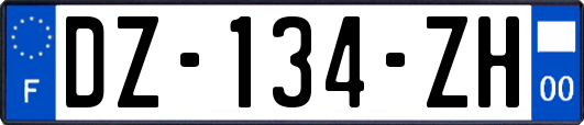 DZ-134-ZH